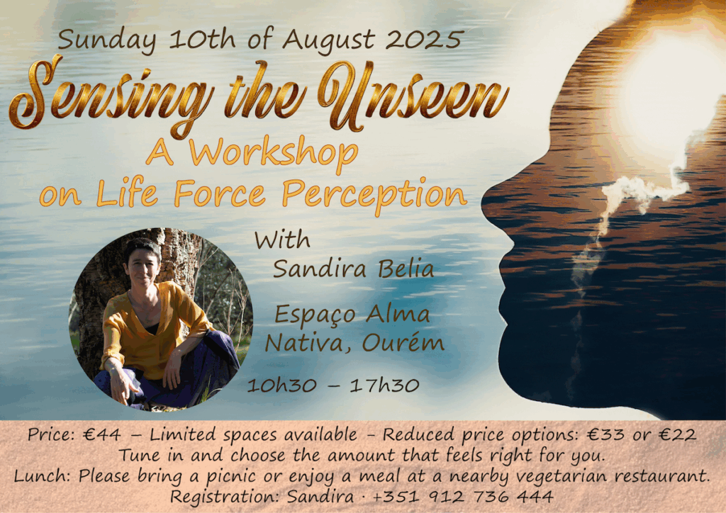 Sensing the Unseen_Workshop Flyer_H_Lg